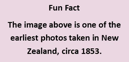 funfact turton photo
